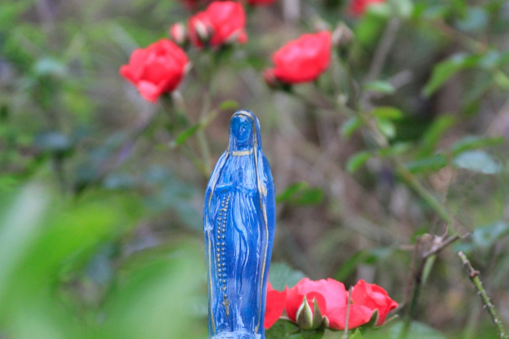 Create Your Own Mary Garden