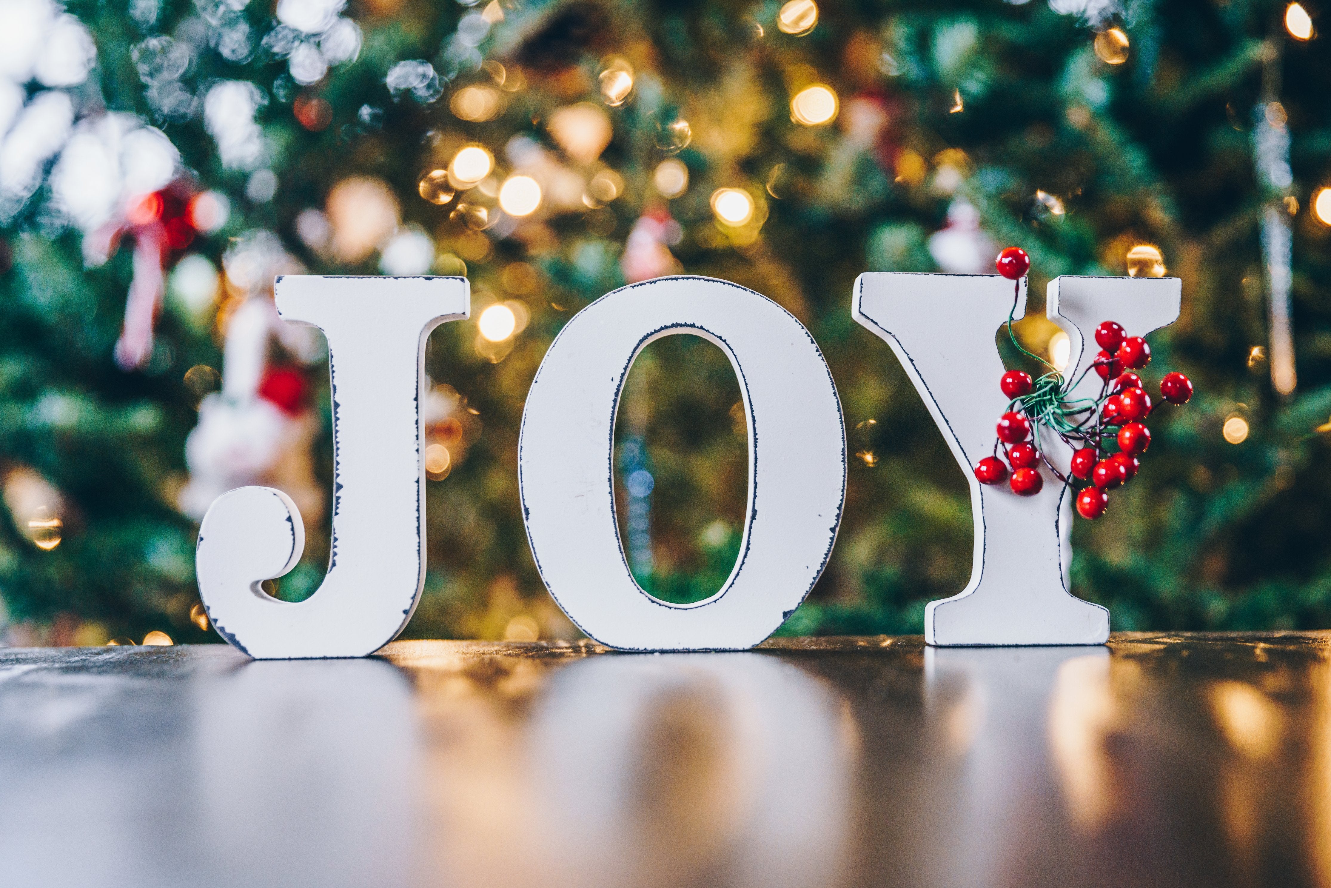 Advent Resources for Catholic Families