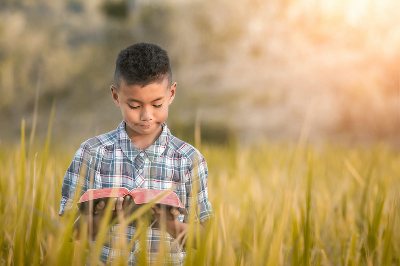 What is Vacation Bible School