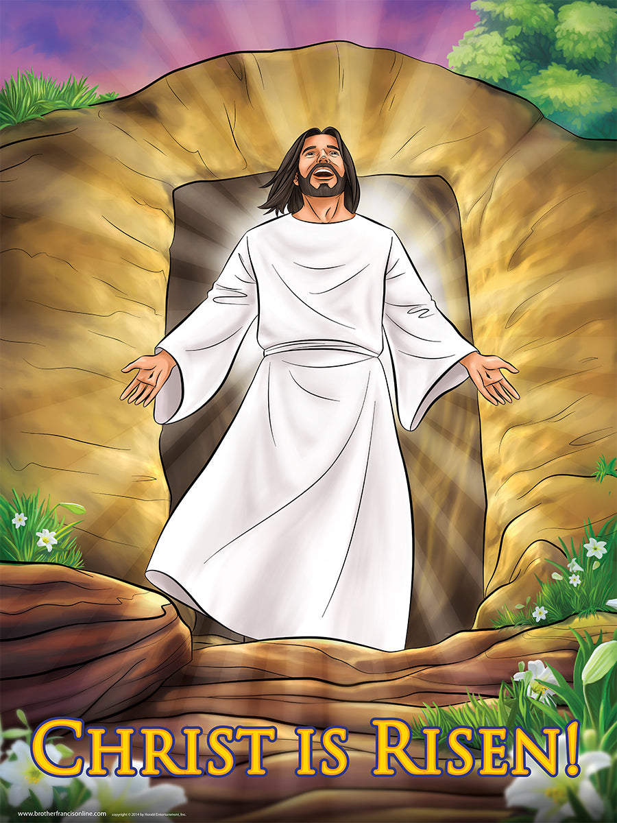 Brother Francis Posters - 12 Pack